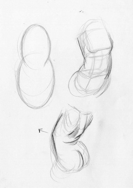 Уроки рисования члена