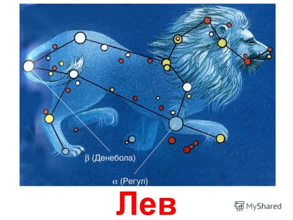 Созвездие Льва Lion