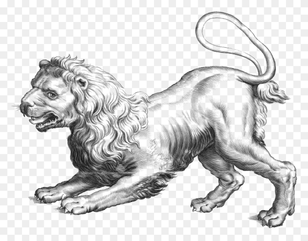 Созвездие Льва эскиз