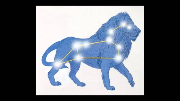 Малый Лев Созвездие схема