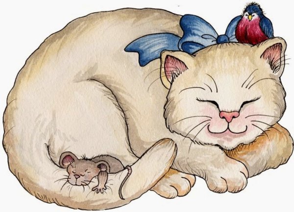 Кот спит рисунок