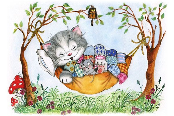 Кошка спит в гамаке