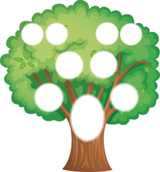 Рисование родословного дерева