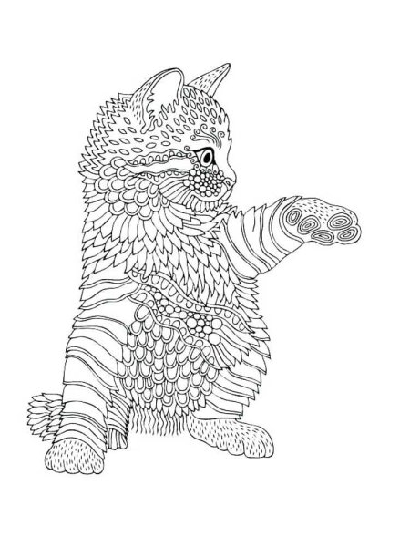 Раскраска антистресс