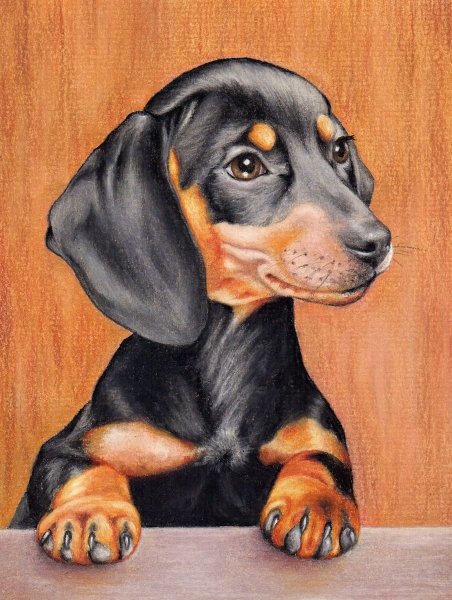 Алмазная мозаика такса