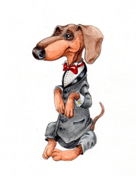 Такса рисунок