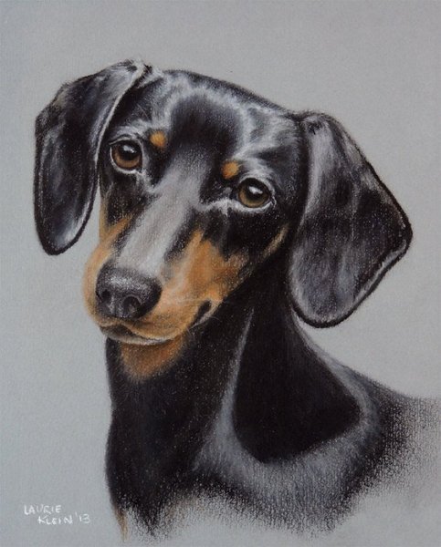 Такса карандашом