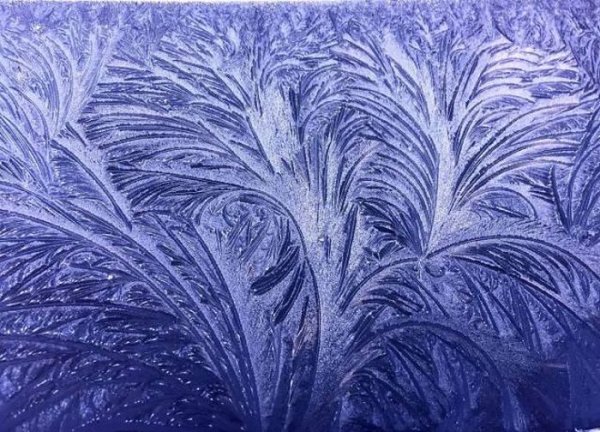 Мороз рисунок