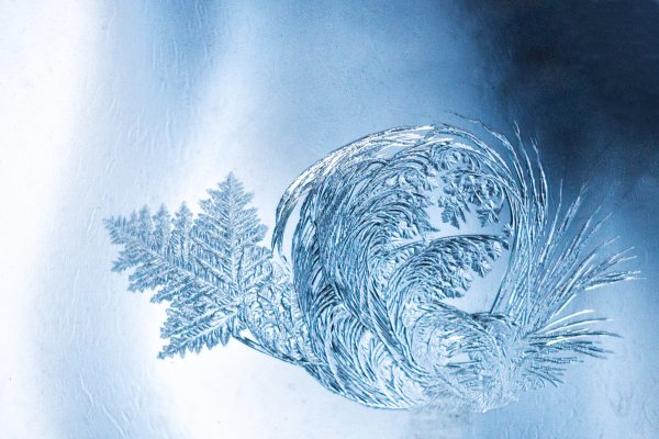 Морозные узоры