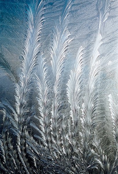 Белоснежные узоры на окне