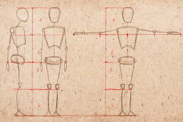 Анатомия тела человека для художников пропорции