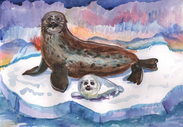 Картина Нерпа Байкальская