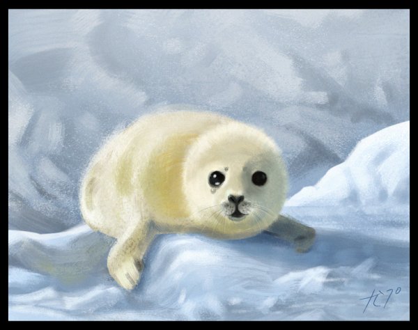 Белек Байкальской нерпы рисунок