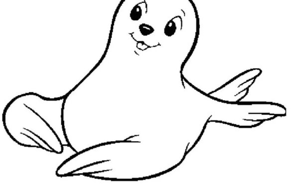 Нерпа Байкальская контур