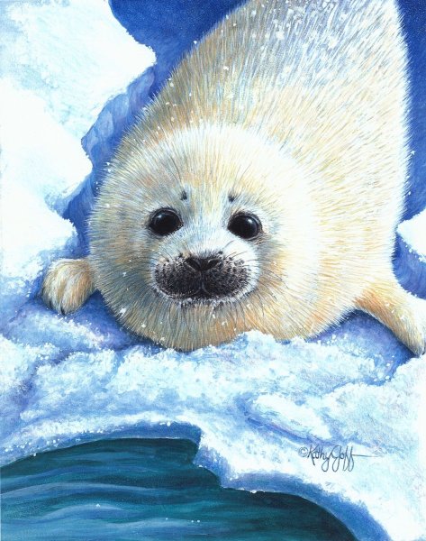 Байкальский нерпенок Белек рисунки