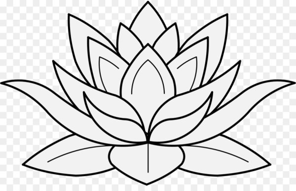 Лотос раскраска
