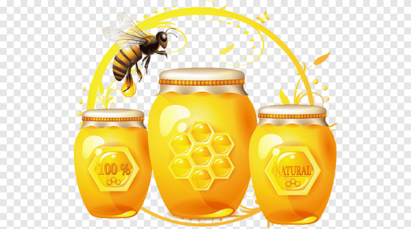 Баночка меда вектор