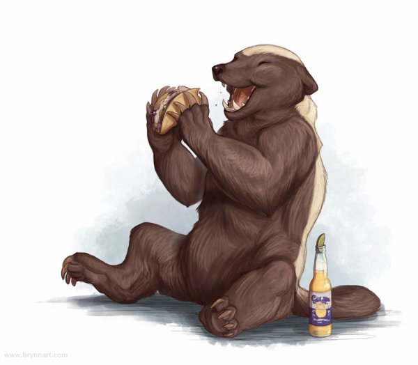 Скелет медоеда