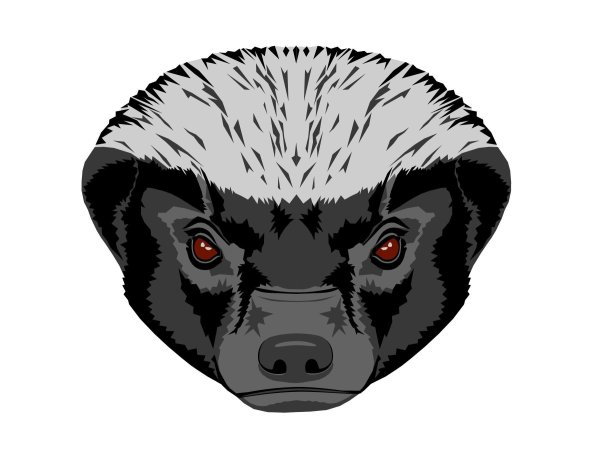 Медоед на аву