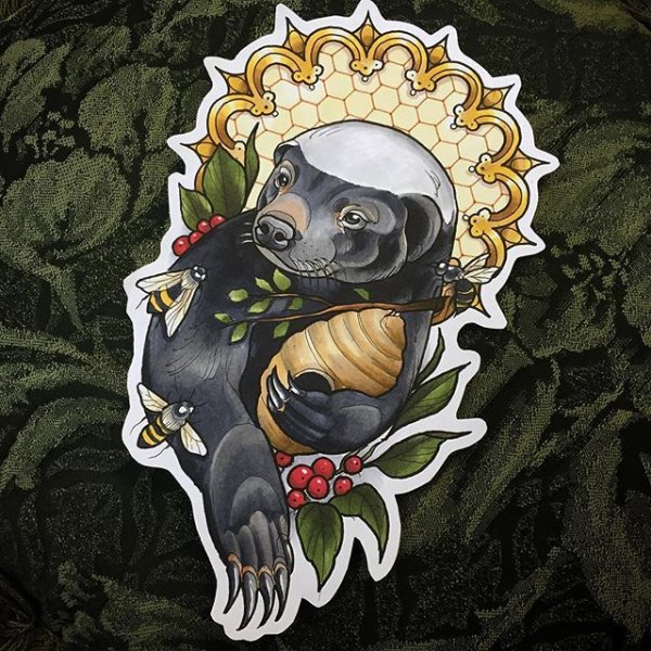 Барсук медоед сбоку