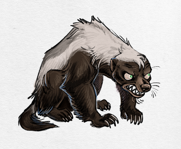 Барсук медоед арт