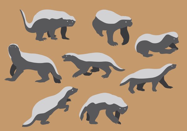 Барсук медоед эмблема