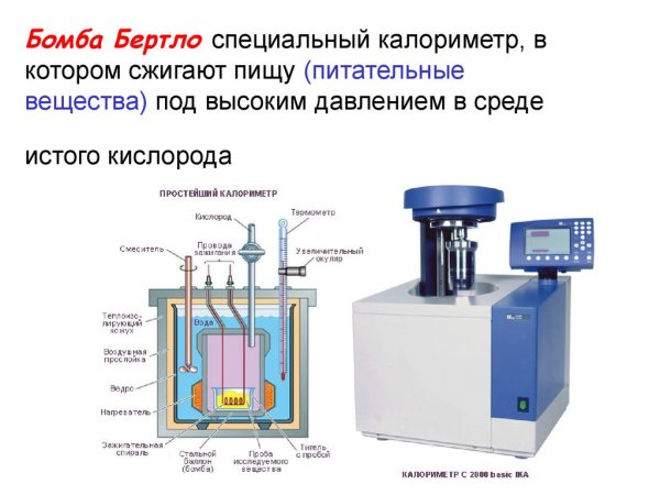 Калориметрическая бомба Бертло