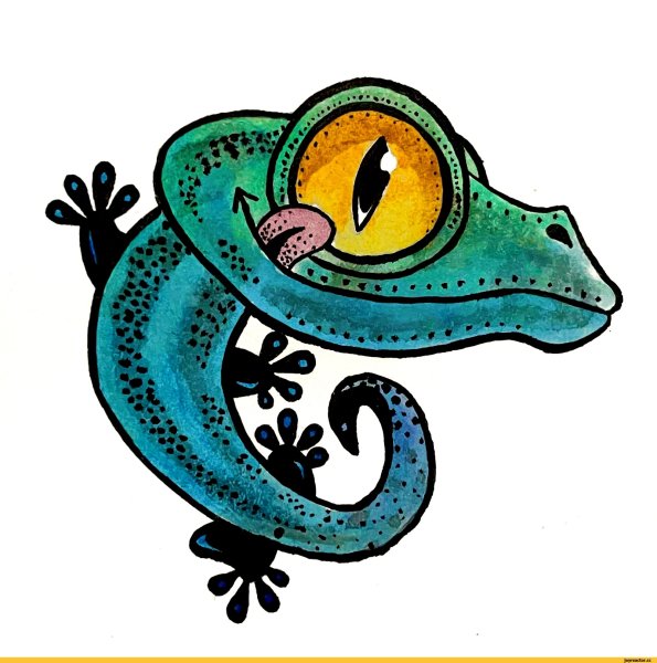 Голова ящерицы рисунок