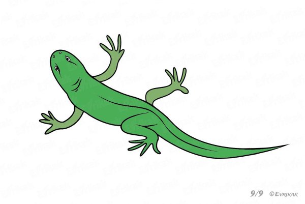Ящерица рисунок