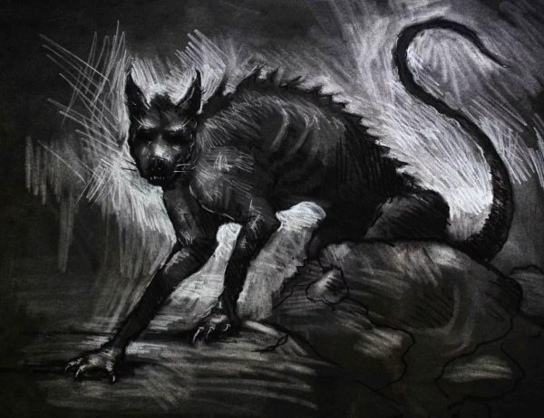 Одонтотиранус криптид