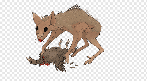 Невиданный зверь чупакабра