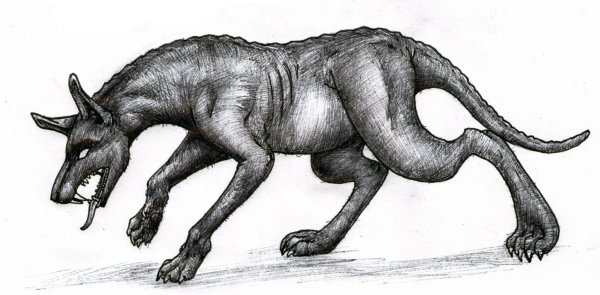 Хармони чупакабра