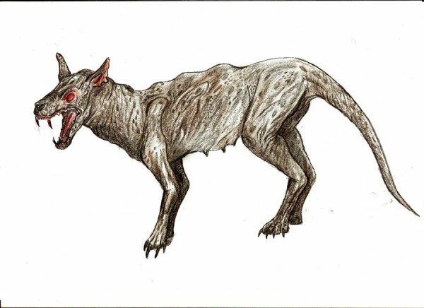 Чупакабра рисунок карандашом