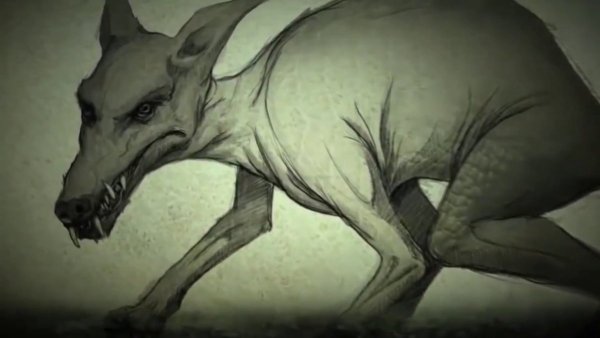 Штырехвост Гарри Поттер