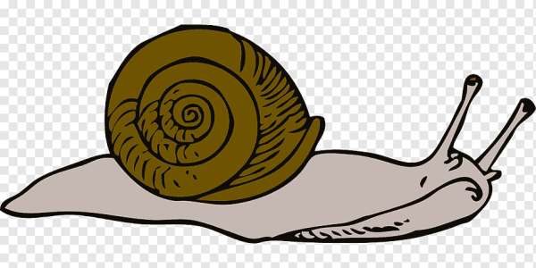Улитка мультяшная на белом фоне