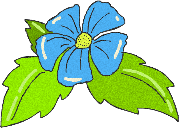 Цветы рисунок