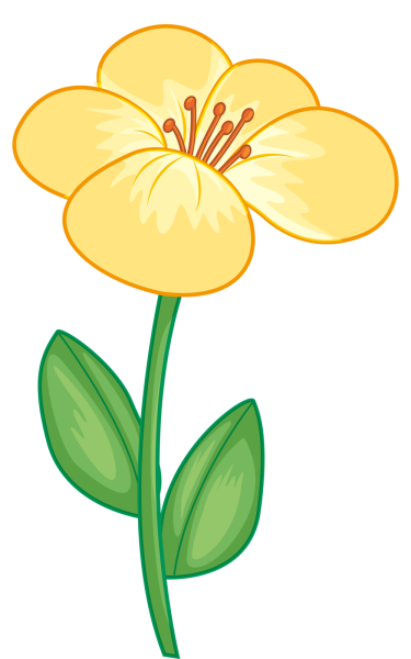 Цветы рисунок