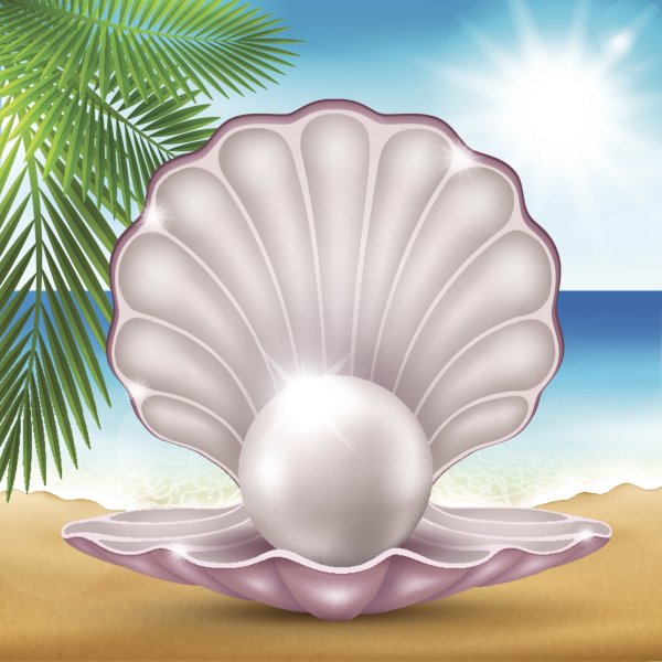 Ракушка с жемчужиной рисунок