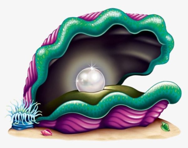 Жемчужина в раковине мультяшная