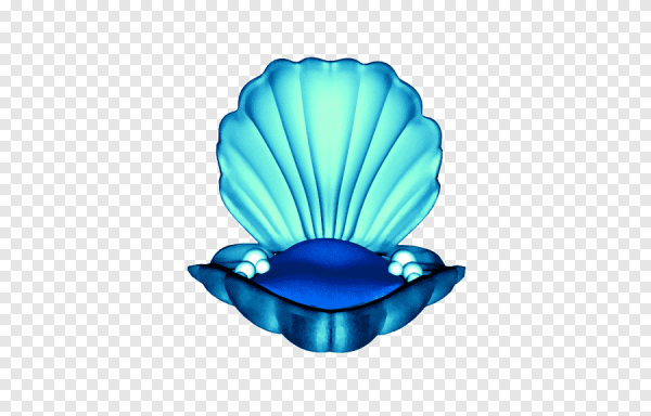 Жемчужина в раковине мультяшная