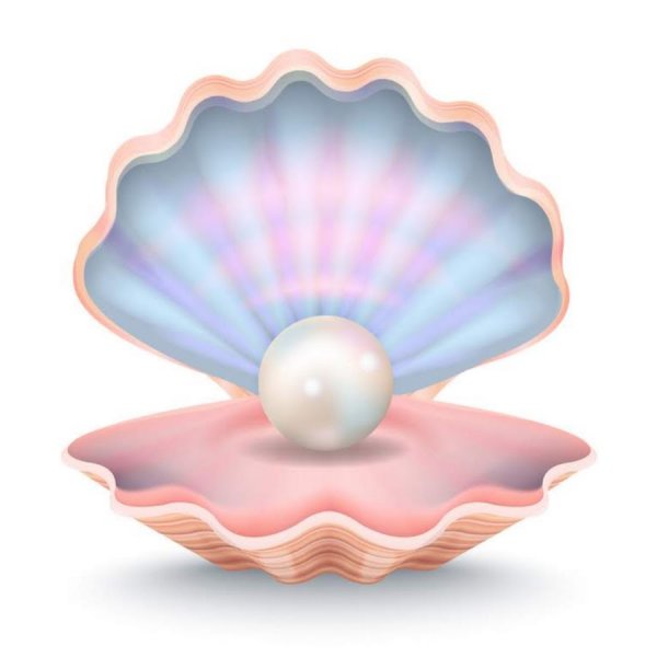 Ракушка с жемчужиной