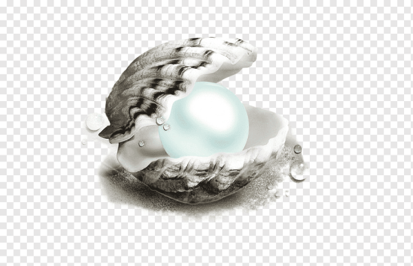 Жемчужина в раковине на прозрачном фоне