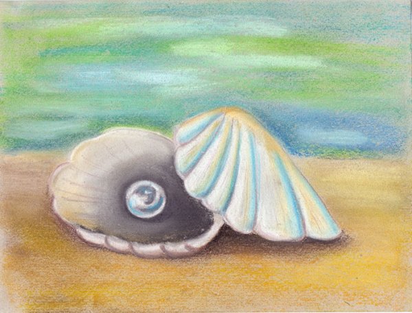 Ракушка пастелью