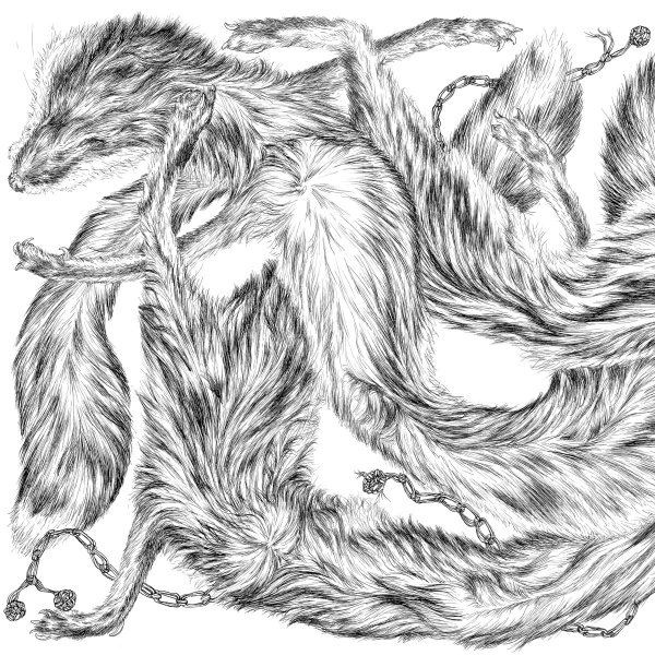 Шерсть карандашом