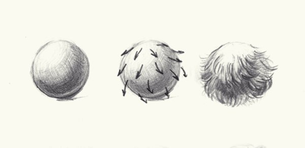 Рисование шерсти животных