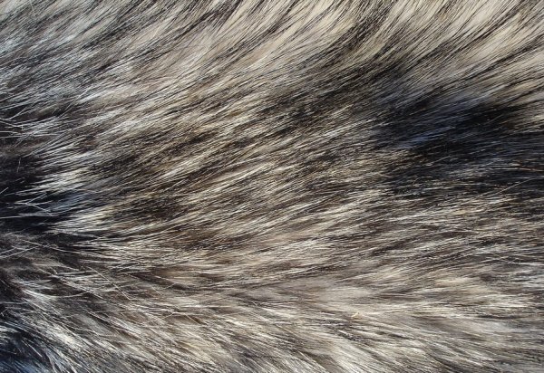 Рисование шерсти животных