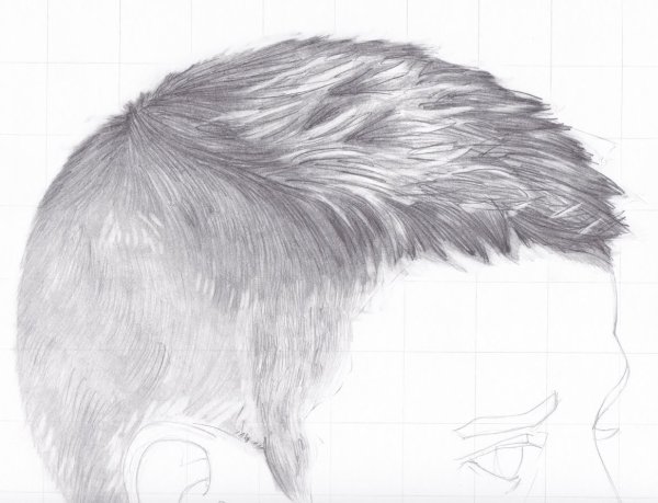 Шерсть карандашом