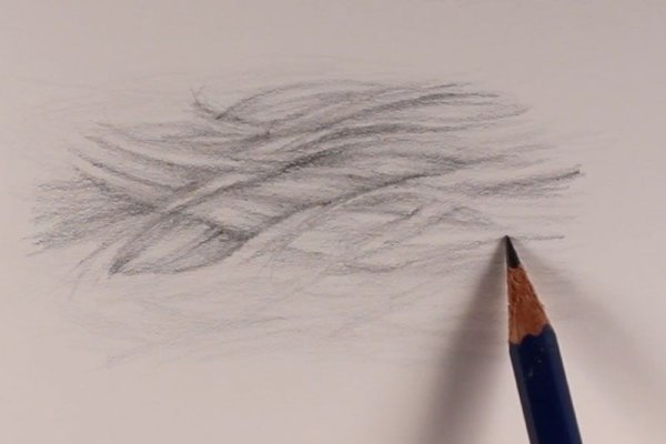 Мех рисунок карандашом