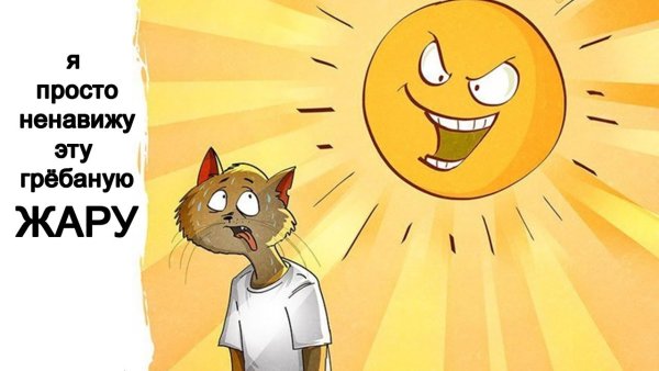 Приколы про жару