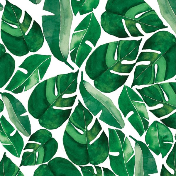 Паттерны тропические листья